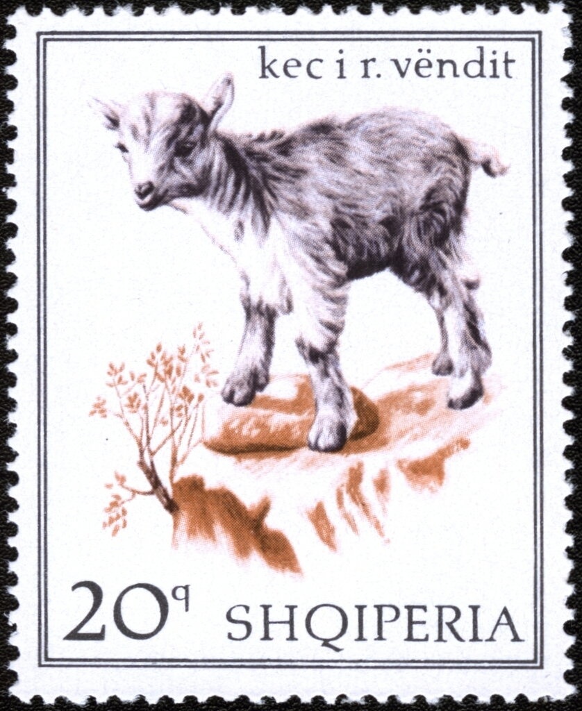 View of Alexandretta overprint