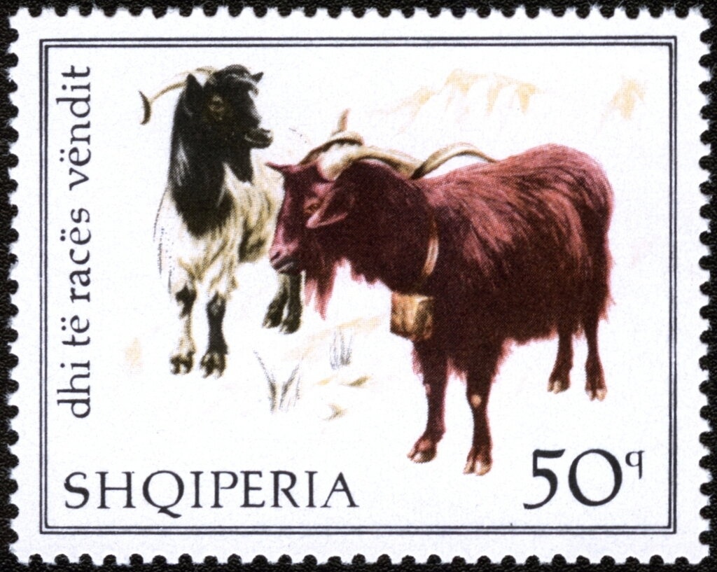 ‭President Ahmed Zogu