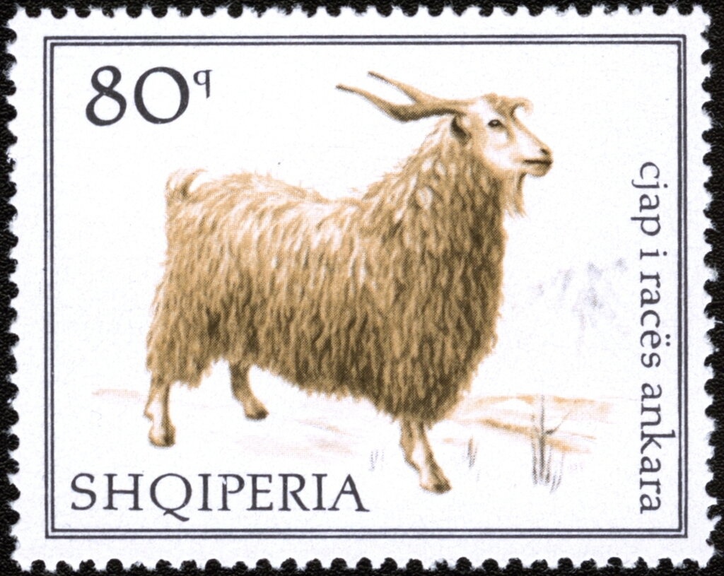 Soldier with Freedom Flag