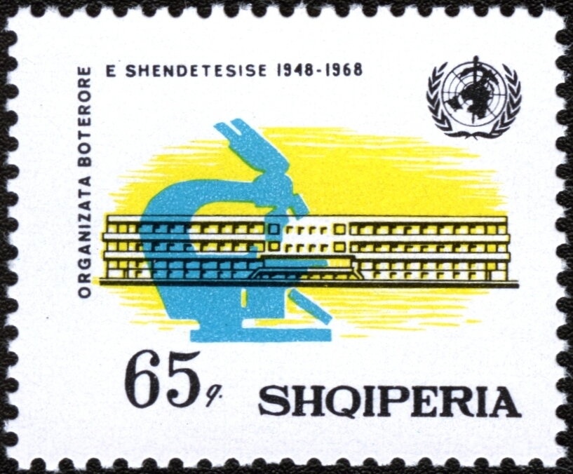 Dianthus caryophyllus karafil