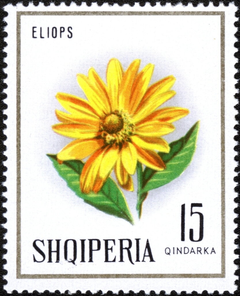 Murat Toptani (1867-1918), Albanian artist and poet