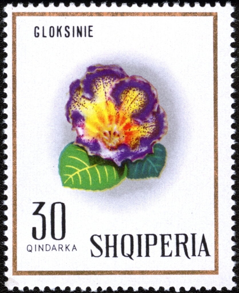 ‭Athletes with shot and Indian club