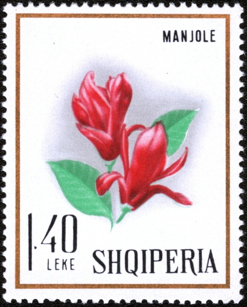 Banner, man and woman holding gun and axe