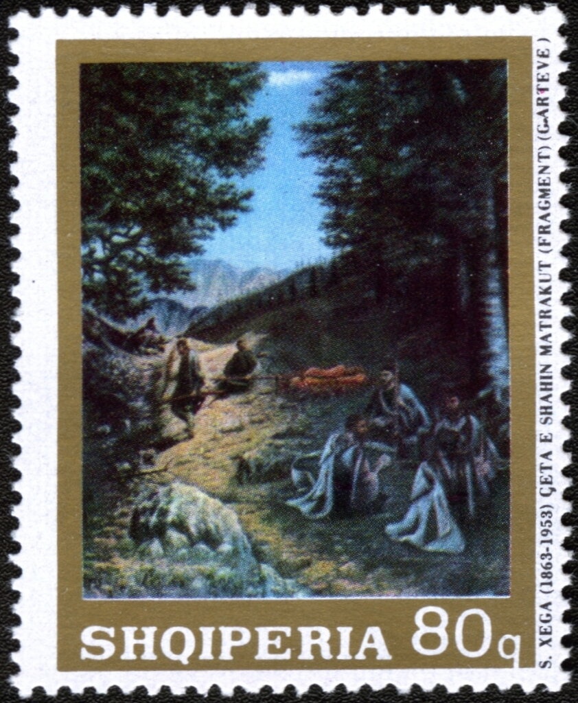 Northern Pintail (Anas acuta)