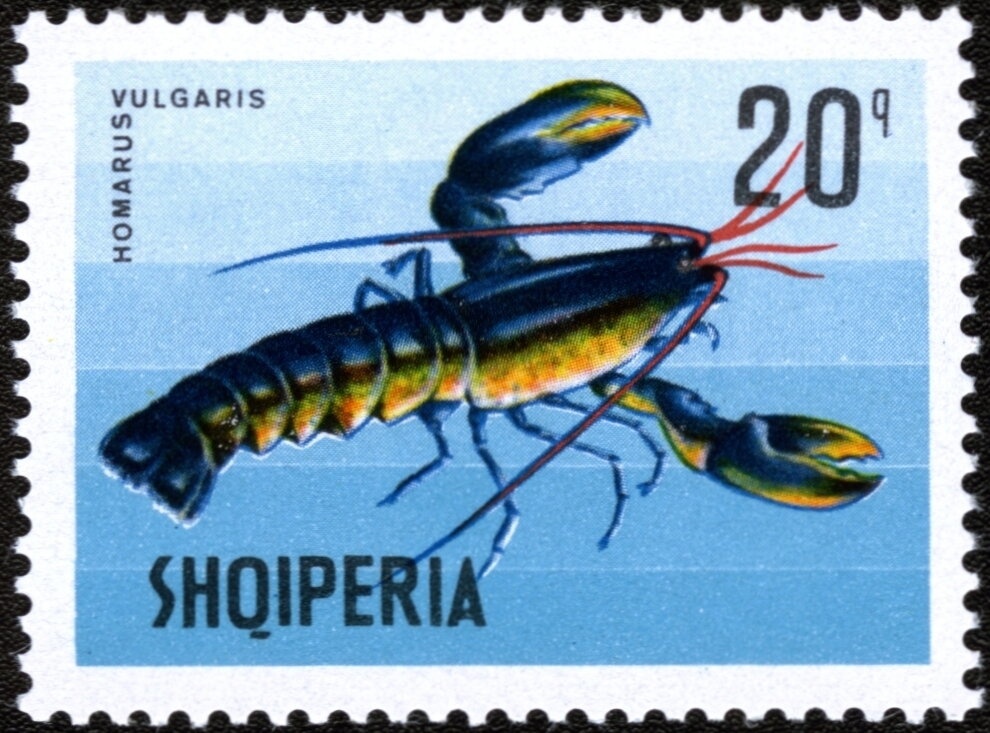 Scene from the Rozafa legend, overprinted