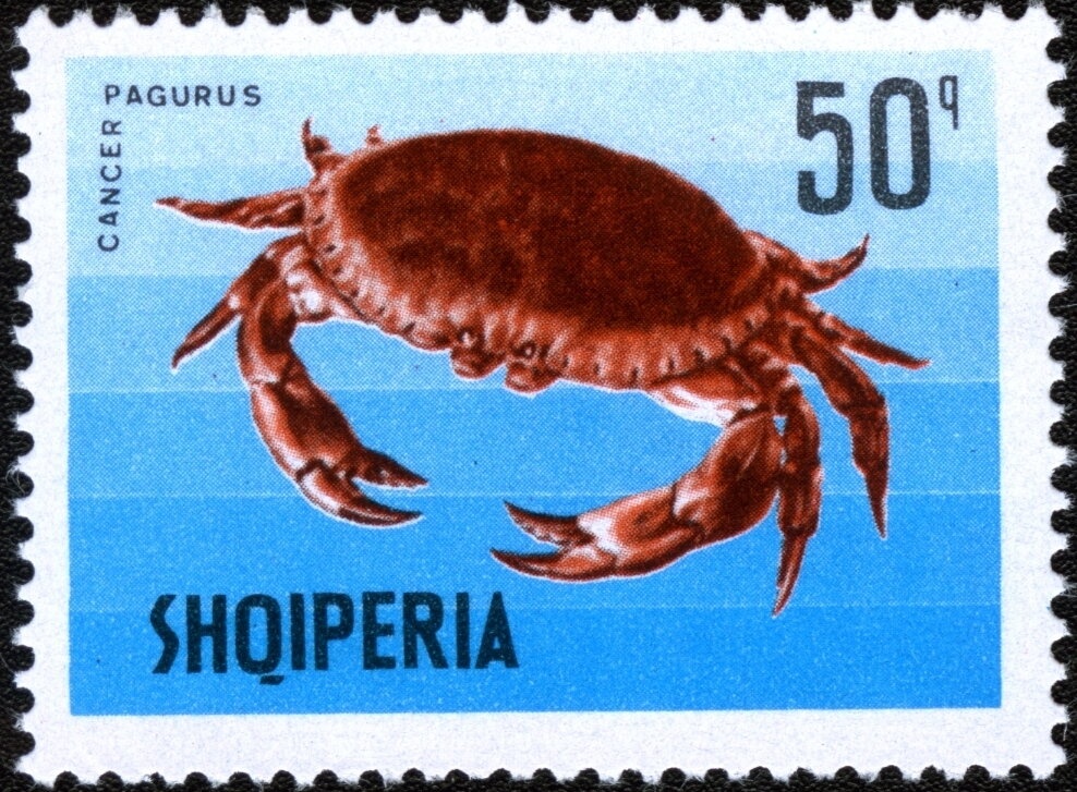 Bridge of Daphne overprinted