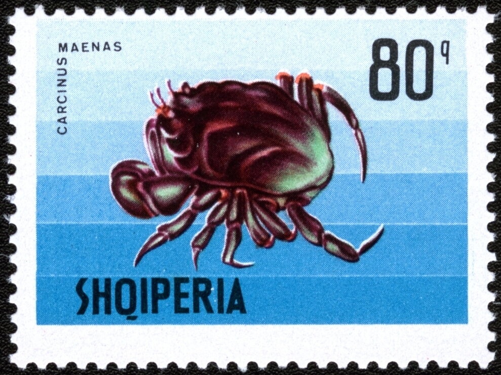 ‭Young railway laborers