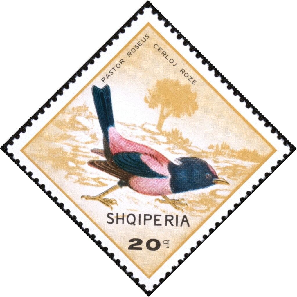 Street of the Hadhji in Pejë of Haxhi Zeka, by Guri Madhi