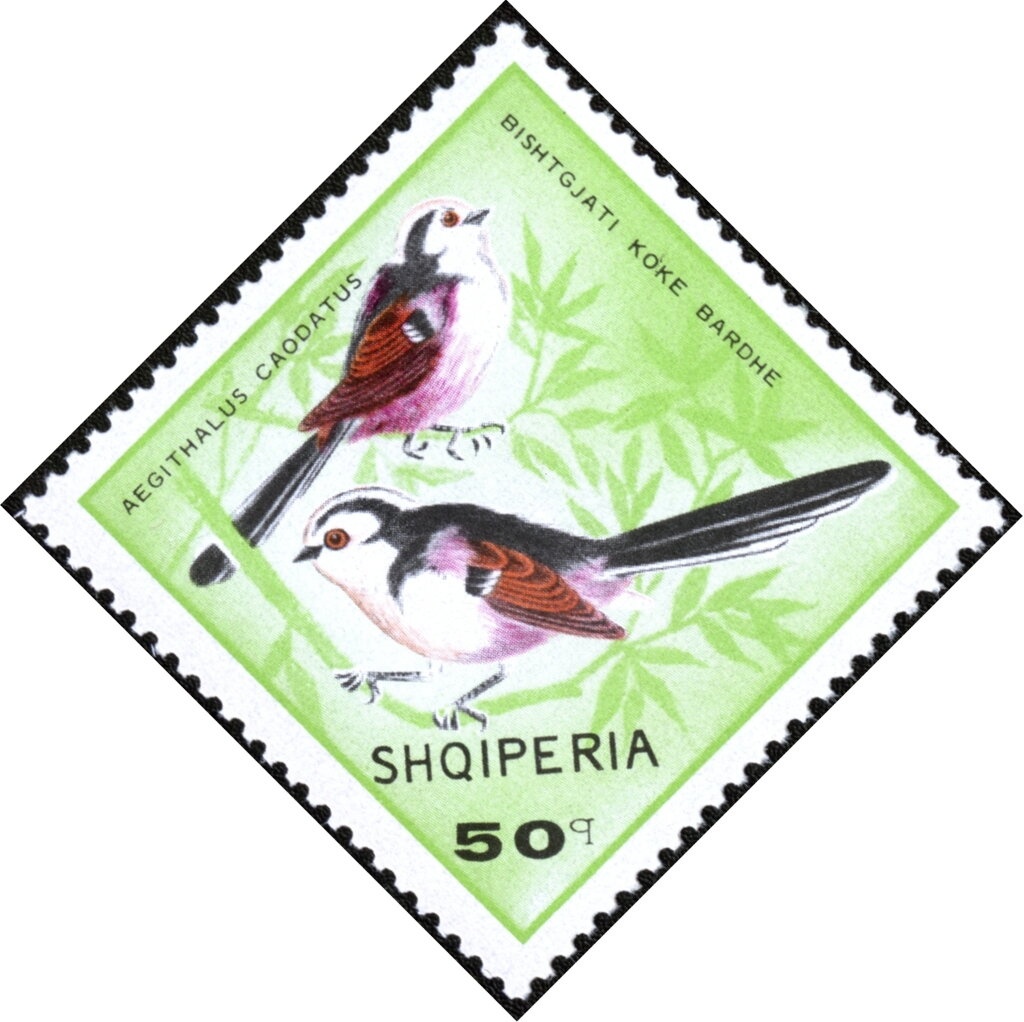 Ahmed Zog Bridge over the Mat overprinted in black