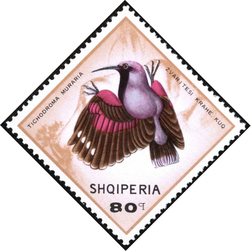 ‭Malaria eradication emblem, stylized Mosquito