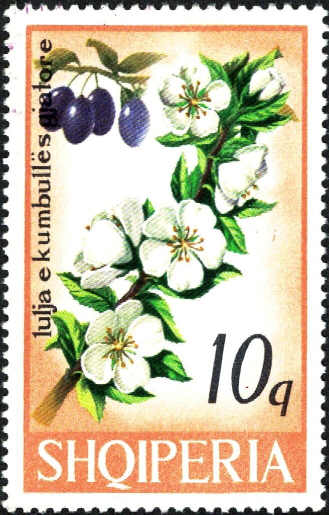 Wolfgang Amadeus Mozart, playing piano