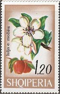 King Zog I of Albania