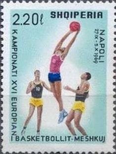 Brown Bear (Ursus arctos)