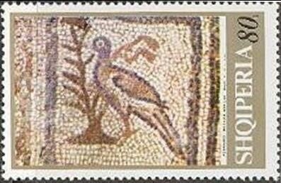 Northern pintail (Anas acuta)