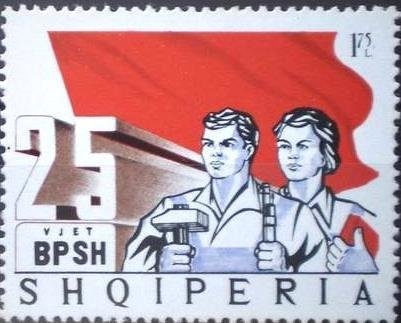 Brown Bear (Ursus arctos)