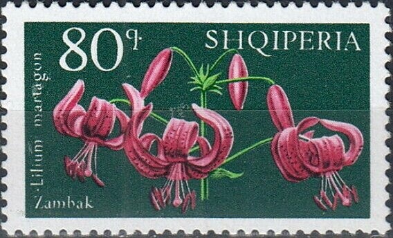 Fencing, Pistol Shooting