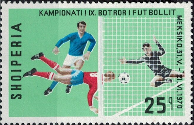 Mediteranean Monk Seal (Monachus albiventris)