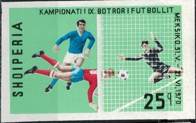 Matucana madisoniorum