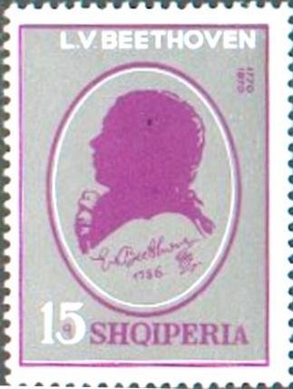 Dalmatian Pelican (Pelecanus crispus)