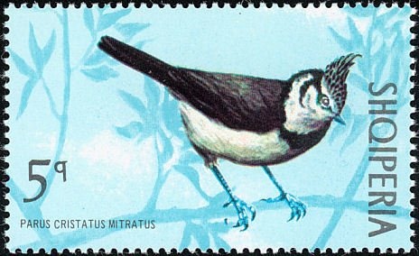 Mascot before World Cup Stadium