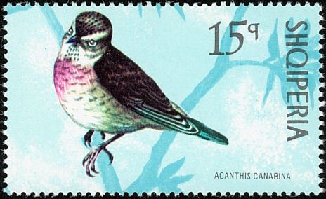 Jani Vreto (1822-1900), Albanian writer and publisher