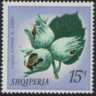 Volunteers, hydrofoil patrolboat and MiG planes