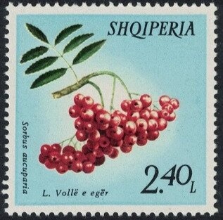 George Washington, Abraham Lincoln, Martin Luther King Jr.