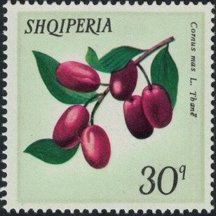 Santos-Dumont number 6 over Paris (19 October 1901)