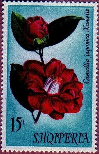 Skanderbeg issue overprinted with Turkish Value