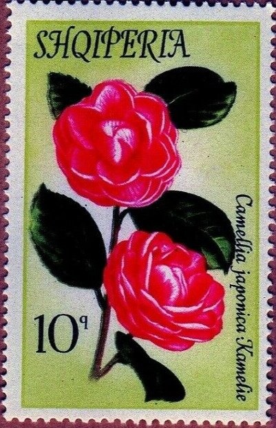 King Zog I of Albania overprinted in black