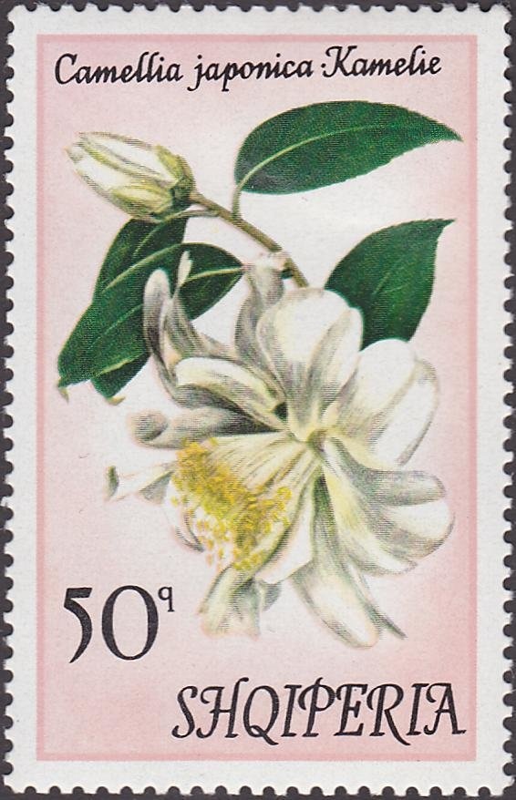 Soldier with Rifle, Patrol Boat, Aircraft