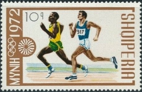 Atlantic Sturgeon (Acipenser sturio)