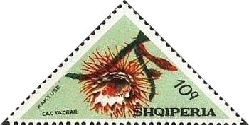 General issue (Austrian stamps handstamped in violet)