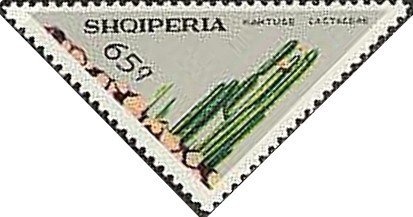 National war story (1954), by Nexhmedin Zajmi