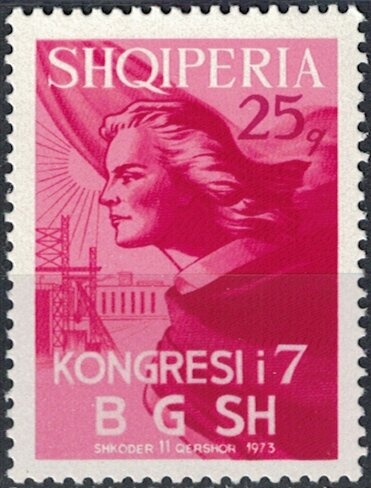 Harlequin duck (Histrionicus histrionicus)