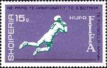 Flathead Grey Mullet (Mugil cephalus)