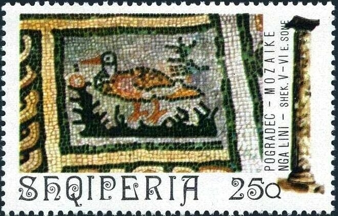 Harlequin duck (Histrionicus histrionicus)