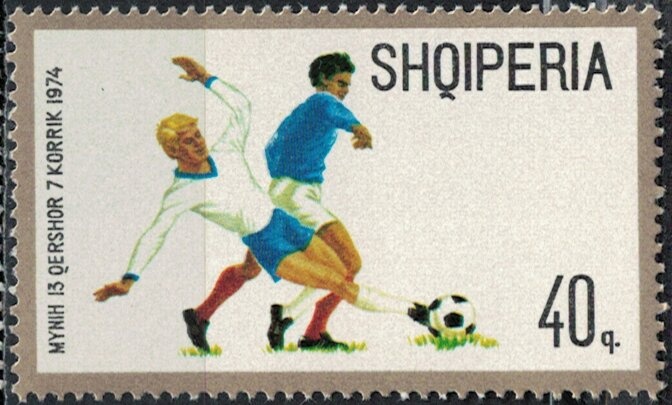 Domestic Pig (Sus scrofa domesticus)