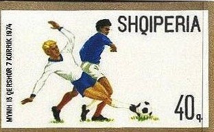 Greater white-fronted goose (Anser albifrons)