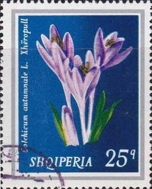 Petro Nini Luarasi (1864-1911), Albanian journalist