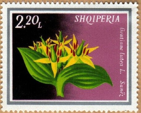 Douglas DC-3 over Rozafa Castle (Shkodër)