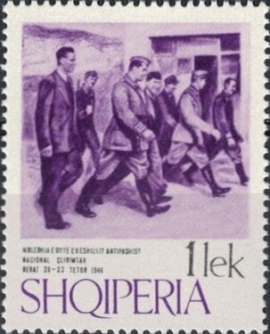 Flathead Grey Mullet (Mugil cephalus)