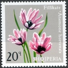 Eurasian lynx (Lynx lynx)