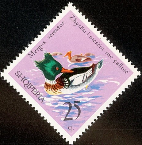 ‭Congress Statute, Coat of Arms