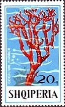 Henri Dunant (1828-1910), Founder of the Red Cross