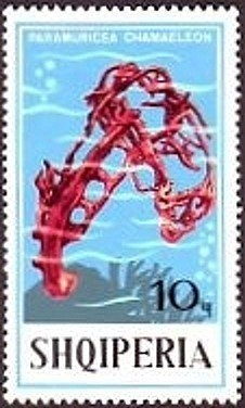 Eagle, Dragon, Ribbon with Flags of China and Albania