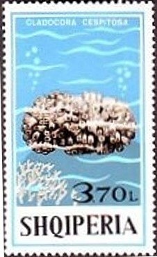 Johann Sebastian Bach (1685-1750), German composer