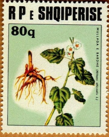 Naphtha fractioning plant, Ballsh