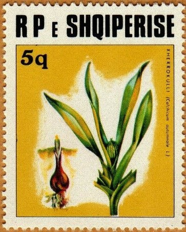 Vacation spot (Pushimet Natural Park)