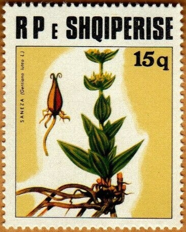 Scenes, World Cup Emblem